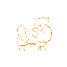 Animals Dogs Papillon Tracing Svg Vector, Free Vectors File